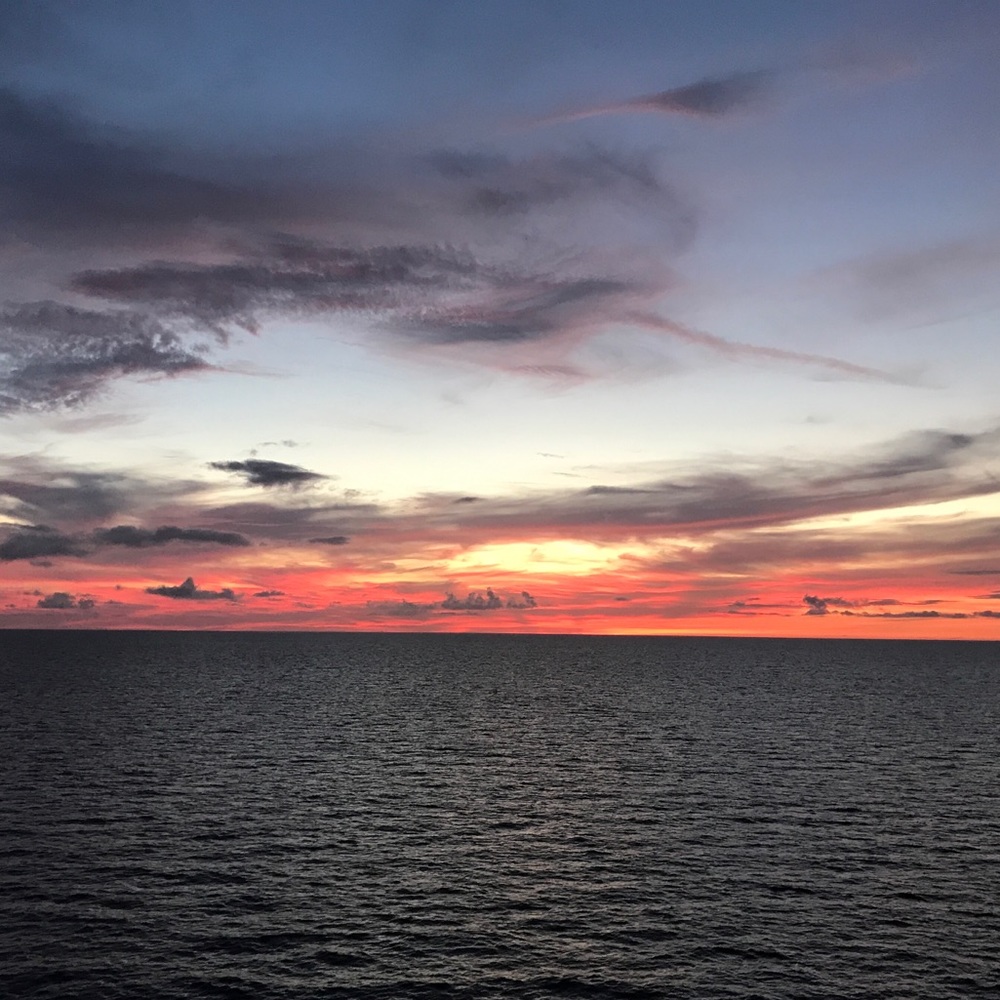 Meet your Posher, Angelina